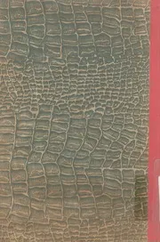 كتاب النبوات