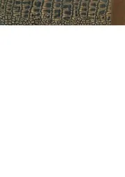 يوميات نائب