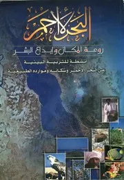 البحر الاحمر روعة المكان و ابداع البشر انشطة للترب كانه و