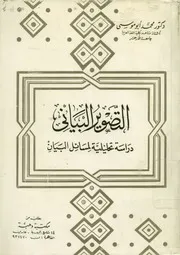 التصوير البيانى دراسة تحليلية لمسائل البيان