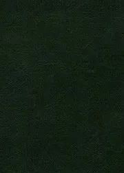 نوابغ الإسلام