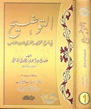 التوضيح في شرح المختصر الفرعي لابن الحاجب