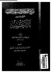 شرح المفصل في صنعة الاعراب الموسوم بالتخمير 03656 صدر الأفاضل القاسم