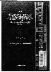 مختصر تاريخ دمشق لابن عساكر الجزء 11 05068 محمد بن مكرم المعروف