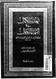 تهذيب الكمال في أسماء الرجال المجلد 11 08188 جمال الدين أبي الحجاج