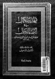 تهذيب الكمال في أسماء الرجال المجلد 17 08194 جمال الدين أبي الحجاج