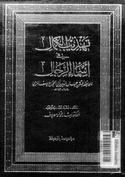 تهذيب الكمال في أسماء الرجال المجلد 31 08208 جمال الدين أبي الحجاج