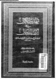 تهذيب الكمال في أسماء الرجال المجلد 33 08210 جمال الدين أبي الحجاج