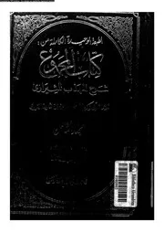 كتاب المجموع شرح المهذب للشيرازي الجزء 08 09307 أبي زكريا يحيى بن