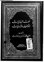 كتاب نعت البدايات و توصيف النهايات 17245 ابن مامين, محمد فاضل