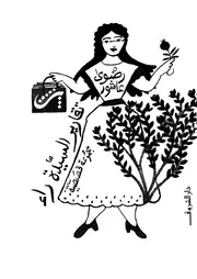 تقارير السيدة راء