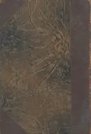 حياة دزرائيلي