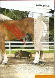 موسوعة جينيس للارقام القياسيةمترجم الى العربيةالجزء الثانى