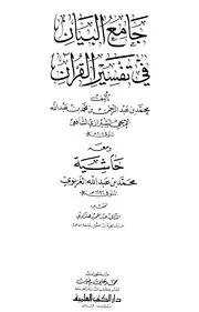 محمد بن عبد الرحمن الإيجي