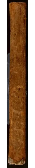 امتحان الاذكياء Imtiḥān al-aḏkiyāʾ
