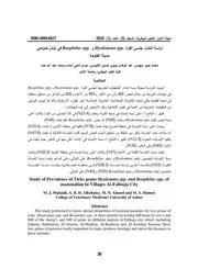 القراد والحلم