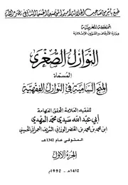 النوازل الصغرى