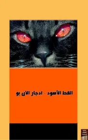القط الأسود