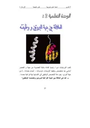 النشاط 1 تمثيل البنية الفراغية للبروتين حمل من هنا 1
