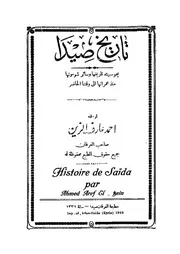 أحمد عارف الزين تاريخ صيدا