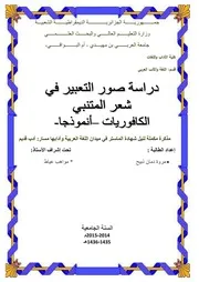 مروة دمان ذبيح دراسة صور التعبير في شعر المتنبي الكافوريات نموذجا