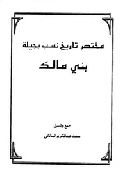مختصر تاريخ نسب بجيلة بني مالك