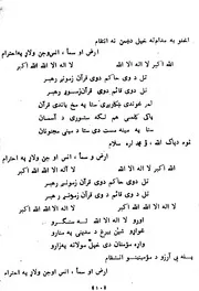 دسنګر وږمی / محمد کریم حیدری