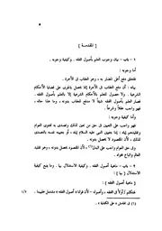 بذل النظر في الأصول (الميزان في أصول الفقه)