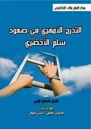 التدرج الأمهري D