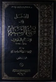 المدخل إلى شرح السنة 1