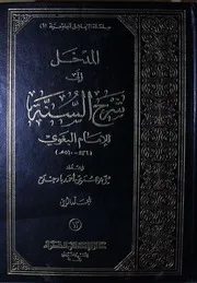 المدخل إلى شرح السنة