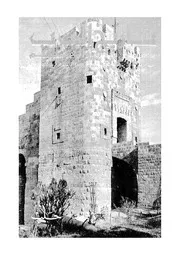 مجلة تاريخ العرب والعالم العدد 42