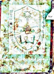 بديع المعاني شرح عقيدة الشيباني