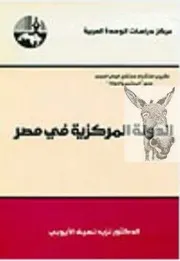 نزيه الأيوبي الدولة المركزية في مصر