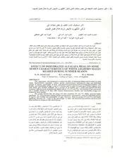 تأثير مسحوق الجت المجفف في بعض صفات المني لذكور اللكهورن الأبيض المرباة خلال فصل الصيف كتاب 905
