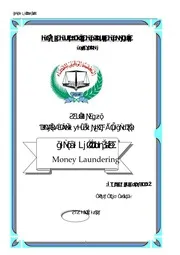 جريمة تبيض الأموال كتاب File