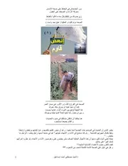 دور الخشخاش في الحفاظ على قوة الشعب