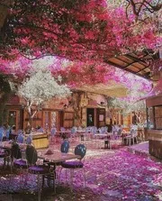 رواية صمت الفتيات