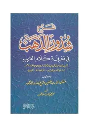 شرح شذور الذهب في معرفة كلام العرب - لابن هشام