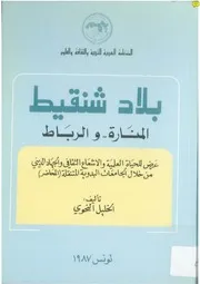 بلاد شنقيط، المنارة والرباط، الخليل النحوي