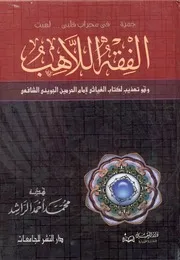 التمويل الإسلامي والفقه اللاهب